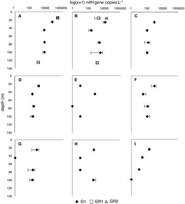 In Situ Diazotroph Population Dynamics Under Different Resource Ratios in the North Pacific Subtropical Gyre